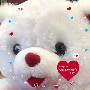 Meet your Posher, Joanne